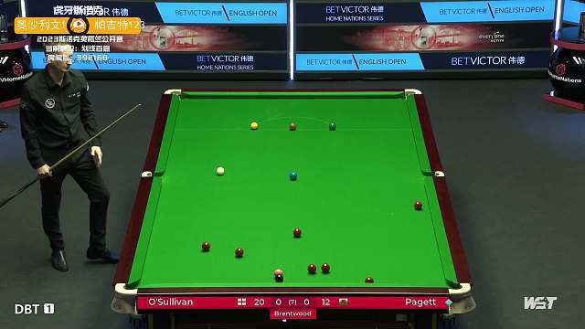 书写属于自 书写属于自