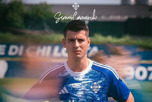 纳入既定应 纳入既定应